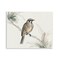 Stupell Industries Illustrated Wildlife Bird Wall Plaque Design by LSR Creative Studio